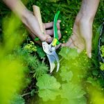 قیچی باغبونی فرانسوی اپینل سرمه ای ۴